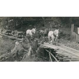 Waipori Falls Power Station