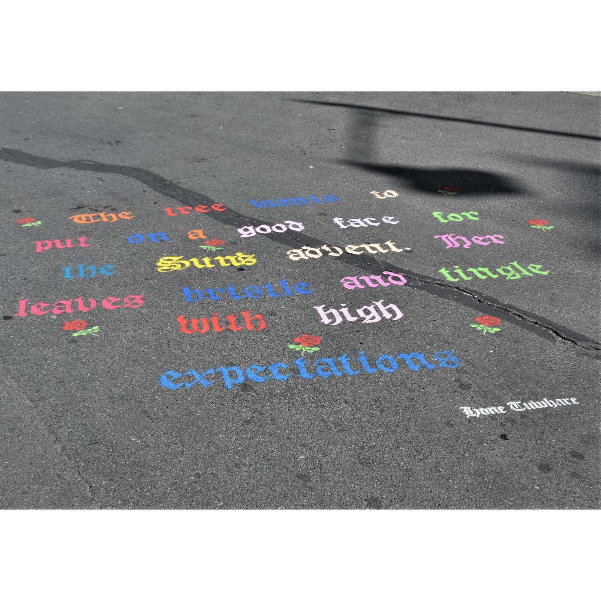 The Octagon Experience 2020