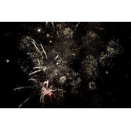 Happy New Year 2014
