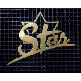 Dunedin to Brighton Veteran Car Rally