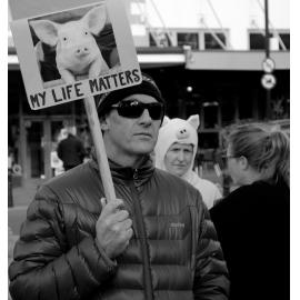Stop factory farming!