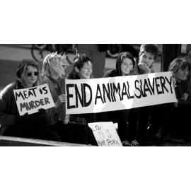 Stop factory farming!