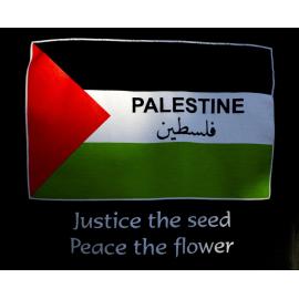 March for Palestine - Dunedin NZ