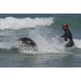 Sea lion close encounter 