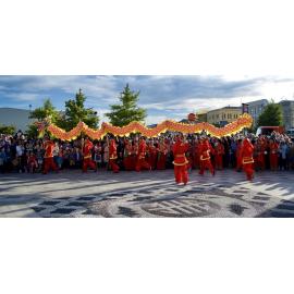 Chinese New Year 28 January 2017