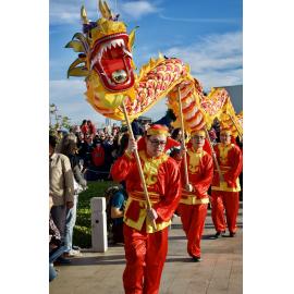 Chinese New Year 28 January 2017