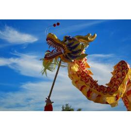 Chinese New Year 28 January 2017