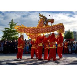 Chinese New Year 28 January 2017