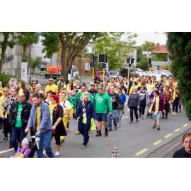 Dunedin Hopewalk 2018 