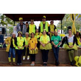 Dunedin Hopewalk 2018 