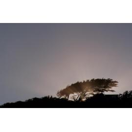 Shining Through 