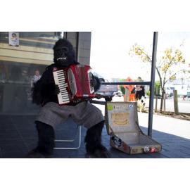 South Dunedin Busking Festival 2019 PSA - 65