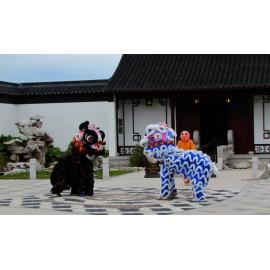 Lion Dance