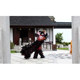 Lion Dance