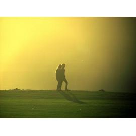 Golden Glow Silhouette Andersons Bay