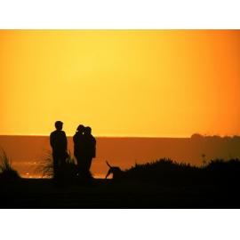 Golden Glow Silhouette Andersons Bay