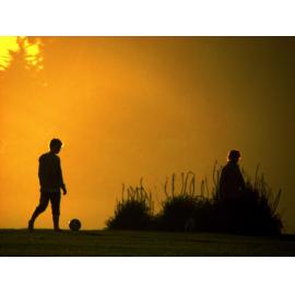 Golden Glow Silhouette Andersons Bay