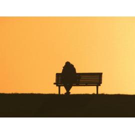 Golden Glow Silhouette Andersons Bay