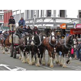 Clydesdale Horse Society of New Zealand