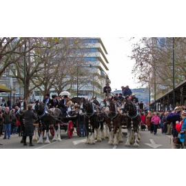 Clydesdale Horse Society of New Zealand
