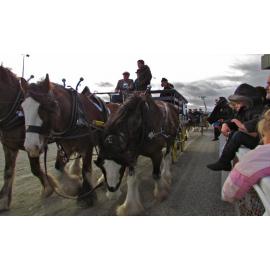 Clydesdale Horse Society of New Zealand