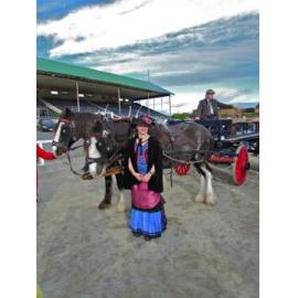 Clydesdale Horse Society of New Zealand