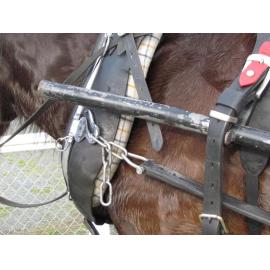 Clydesdale Horse Society of New Zealand