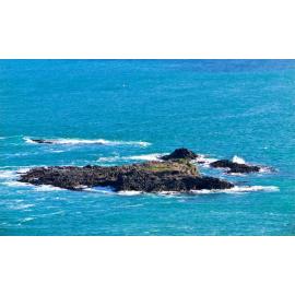 Bird Island, Smaills Beach