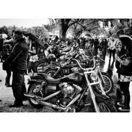 22nd New Zealand National H.O.G. Rally