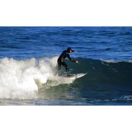 Catching the Wave
