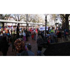 "Keep our Assets" Rally in Dunedin