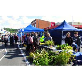 South Dunedin Street Festival 2012