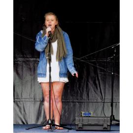 South Dunedin Street Festival 2012