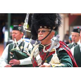 2013 Octagonal Day Street March