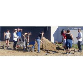 Growsouth -Bathgate Park School Community Garden