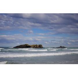 Bird Island