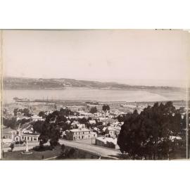 Panorama of Dunedin in 4 parts (pt 3)