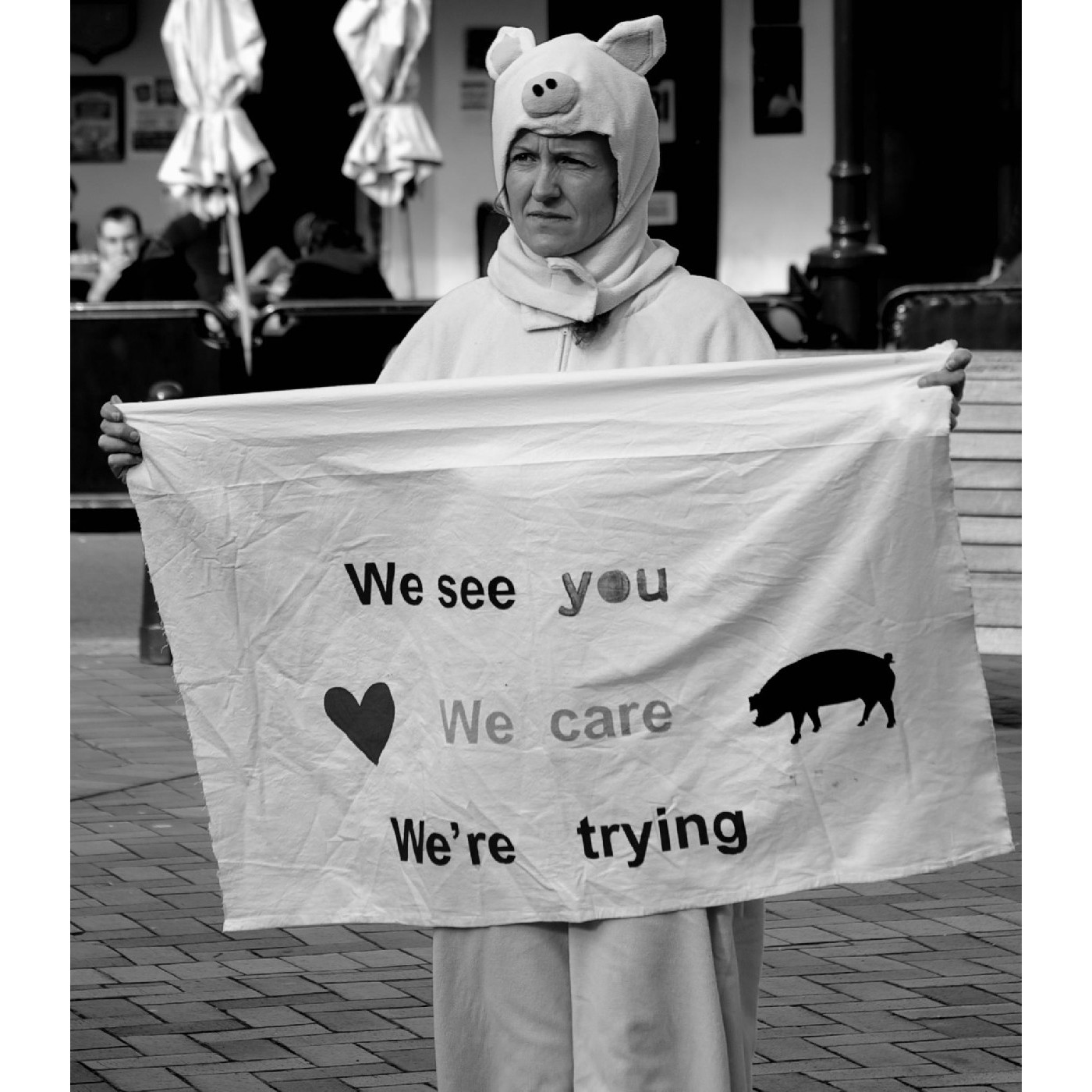 Stop factory farming!