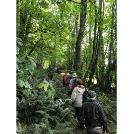 Southern Heritage Trust Member Visits: Larnach's Farm and Historic Lime Kilns