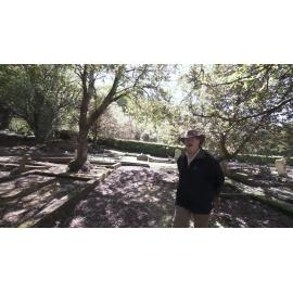 Dunedin Southern Cemetery Tour Ep 2: Edward Peters