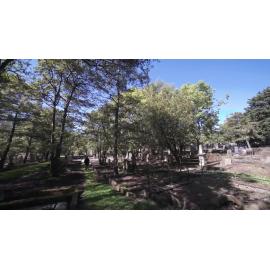 Dunedin Southern Cemetery Tour Ep 4: Duncan Boyes