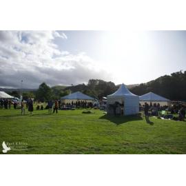 Waitati Music Festival 2022 by Paul S Allen
