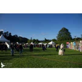 Waitati Music Festival 2022 by Paul S Allen