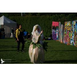 Waitati Music Festival 2022 by Paul S Allen