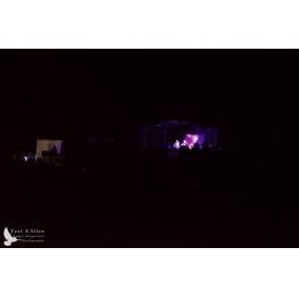 Waitati Music Festival 2022 by Paul S Allen