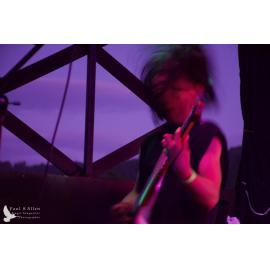 Waitati Music Festival by Paul S Allen: Ayamvoid