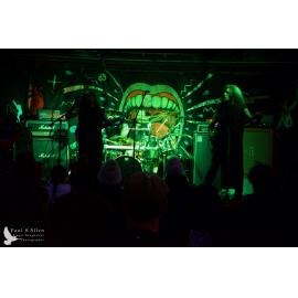 Waitati Music Festival by Paul S Allen: Ayamvoid