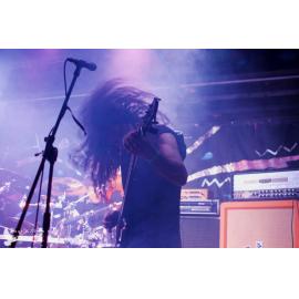 Waitati Music Festival by Paul S Allen: Ayamvoid