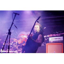 Waitati Music Festival by Paul S Allen: Ayamvoid