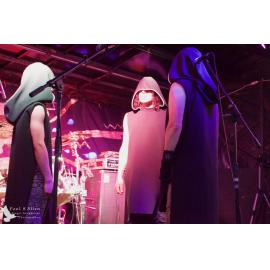 Waitati Music Festival by Paul S Allen: Ayamvoid